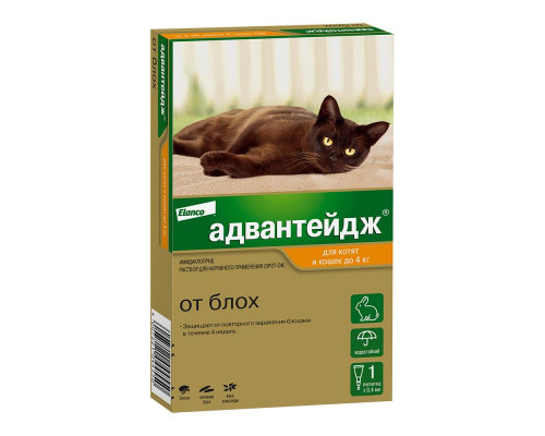 Адвантейдж® капли на холку от блох для котят и кошек до 4 кг. 1 пипетка в упаковке.