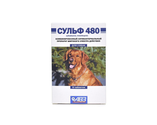 Сульф 480, таблетки, № 6