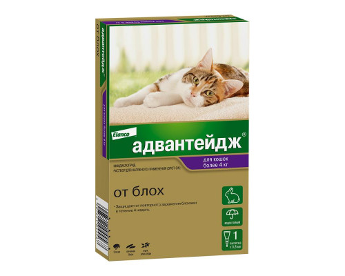Адвантейдж® капли на холку от блох для кошек более 4 кг. 1 пипетка в упаковке.