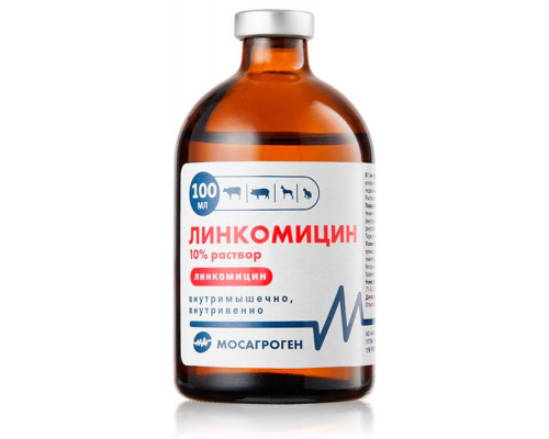Линкомицин 10%, раствор для инъекций, 100 мл