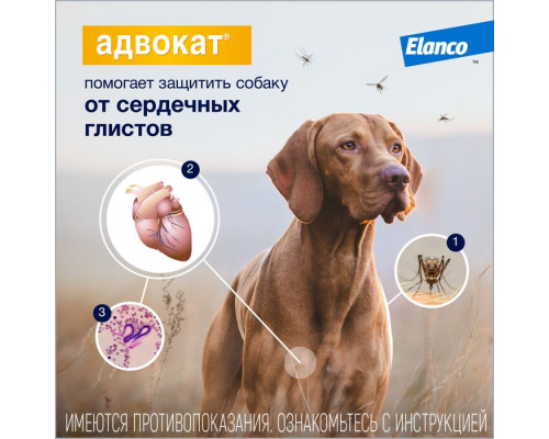 Адвокат®, капли на холку от блох, чесоточных клещей и круглых гельминтов для собак весом от 4 до 10 кг. 3 пипетки в упаковке.