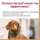Артрогликан, таблетки, № 30