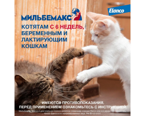 Мильбемакс®, таблетки от гельминтов со вкусом говядины для котят и маленьких кошек, 2 шт.