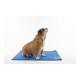 M-PETS Коврик охлаждающий FROZEN, размер M, 65х50 см