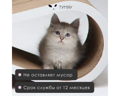 Когтеточка из картона Тумяу с картонным ободком Айс, цвет белый, 65х25х22 см