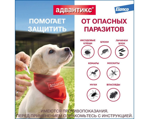 Адвантикс®  для собак от 4 до 10 кг для защиты от блох, иксодовых клещей и летающих насекомых и переносимых ими заболеваний. 4 пипетки в упаковке.
