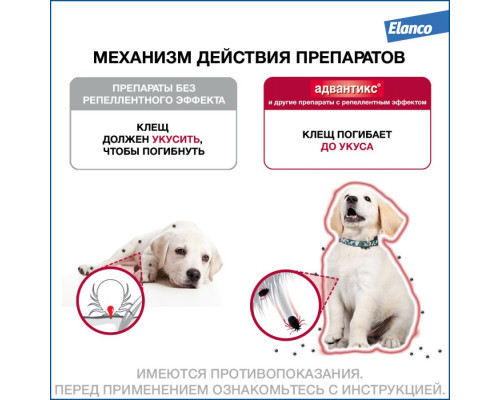 Адвантикс®  для собак от 4 до 10 кг для защиты от блох, иксодовых клещей и летающих насекомых и переносимых ими заболеваний. 4 пипетки в упаковке.