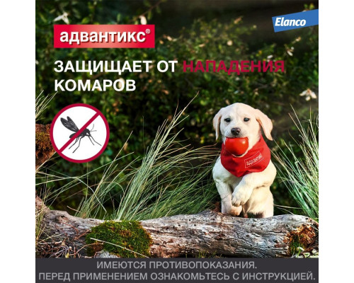 Адвантикс®  для собак от 4 до 10 кг для защиты от блох, иксодовых клещей и летающих насекомых и переносимых ими заболеваний. 1 пипетка в упаковке.