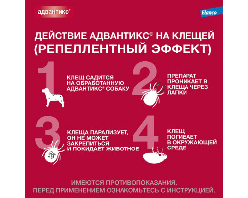 Адвантикс®  для собак от 4 до 10 кг для защиты от блох, иксодовых клещей и летающих насекомых и переносимых ими заболеваний. 4 пипетки в упаковке.