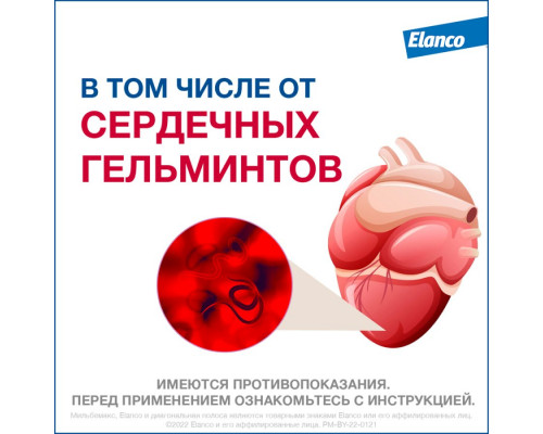 Мильбемакс®, таблетки от гельминтов со вкусом говядины для котят и маленьких кошек, 2 шт.