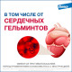 Мильбемакс®, таблетки от гельминтов со вкусом говядины для котят и маленьких кошек, 2 шт.