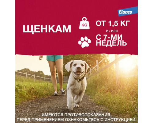 Адвантикс®  для собак от 4 до 10 кг для защиты от блох, иксодовых клещей и летающих насекомых и переносимых ими заболеваний. 1 пипетка в упаковке.