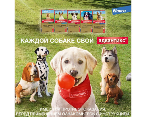 Адвантикс®  для собак весом до 4 кг для защиты от блох, иксодовых клещей, летающих насекомых и переносимых ими заболеваний. 1 пипетка в упаковке.