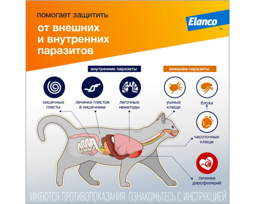 Адвокат® кошки, капли на холку от блох, чесоточных клещей и круглых гельминтов для кошек весом более 4 кг. 3 пипетки в упаковке.