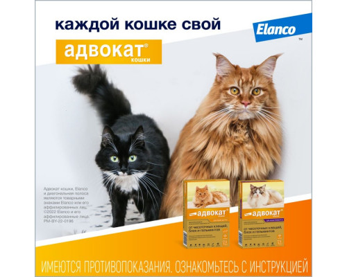 Адвокат® кошки, капли на холку от блох, чесоточных клещей и круглых гельминтов для кошек и хорьков весом до 4 кг. 1 пипетка в упаковке.