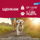 Адвантикс®  для собак весом до 4 кг для защиты от блох, иксодовых клещей и летающих насекомых и переносимых ими заболеваний. 4 пипетки в упаковке.
