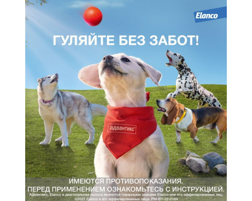 Адвантикс®  для собак от 4 до 10 кг для защиты от блох, иксодовых клещей и летающих насекомых и переносимых ими заболеваний. 4 пипетки в упаковке.