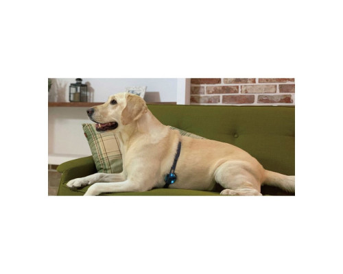 Электронный стетоскоп WithaPET